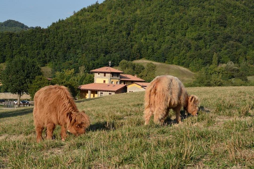 Agriturismo Ca Bella Βίλα San Sebastiano Curone Εξωτερικό φωτογραφία