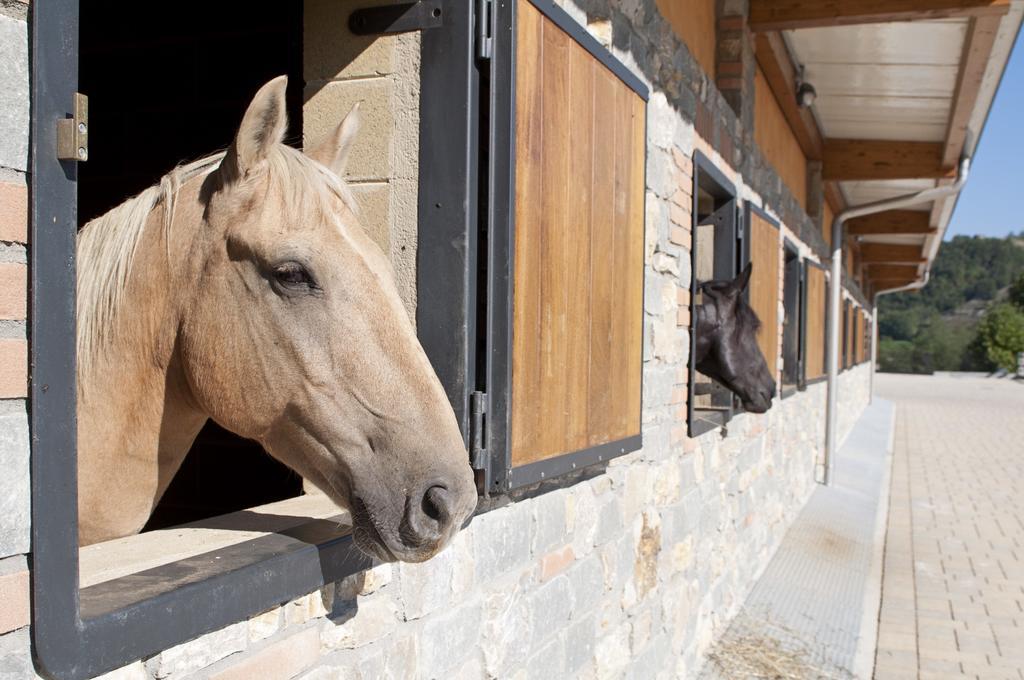 Agriturismo Ca Bella Βίλα San Sebastiano Curone Εξωτερικό φωτογραφία