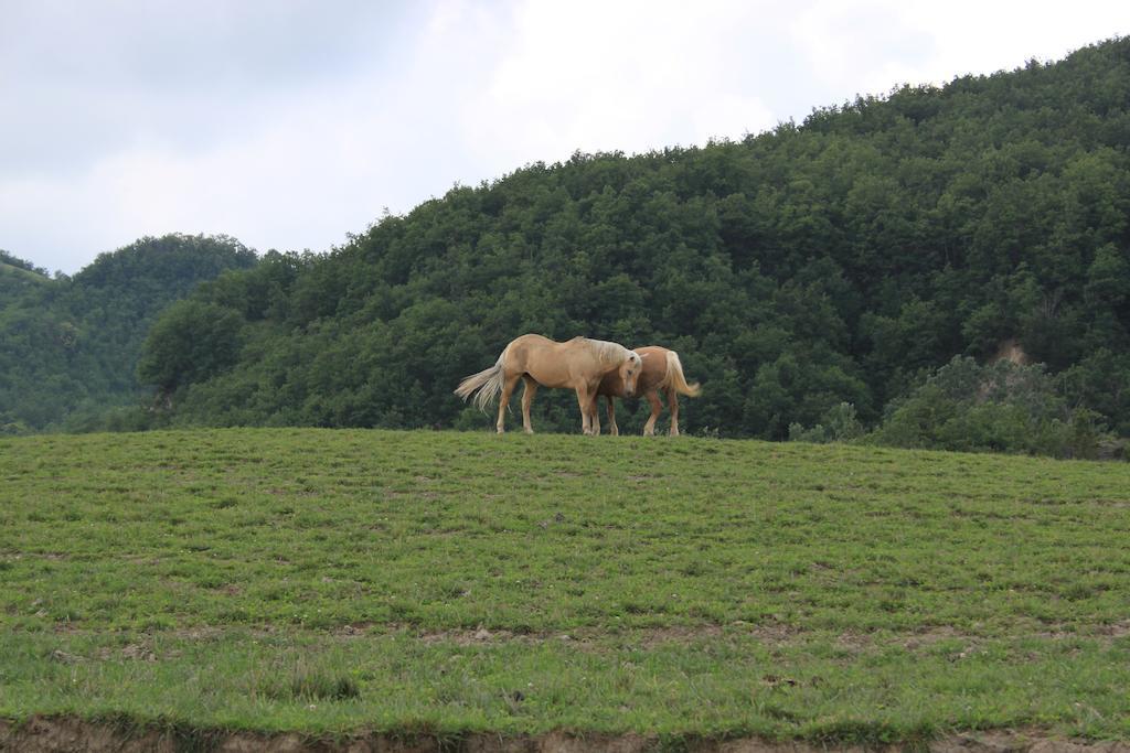 Agriturismo Ca Bella Βίλα San Sebastiano Curone Εξωτερικό φωτογραφία