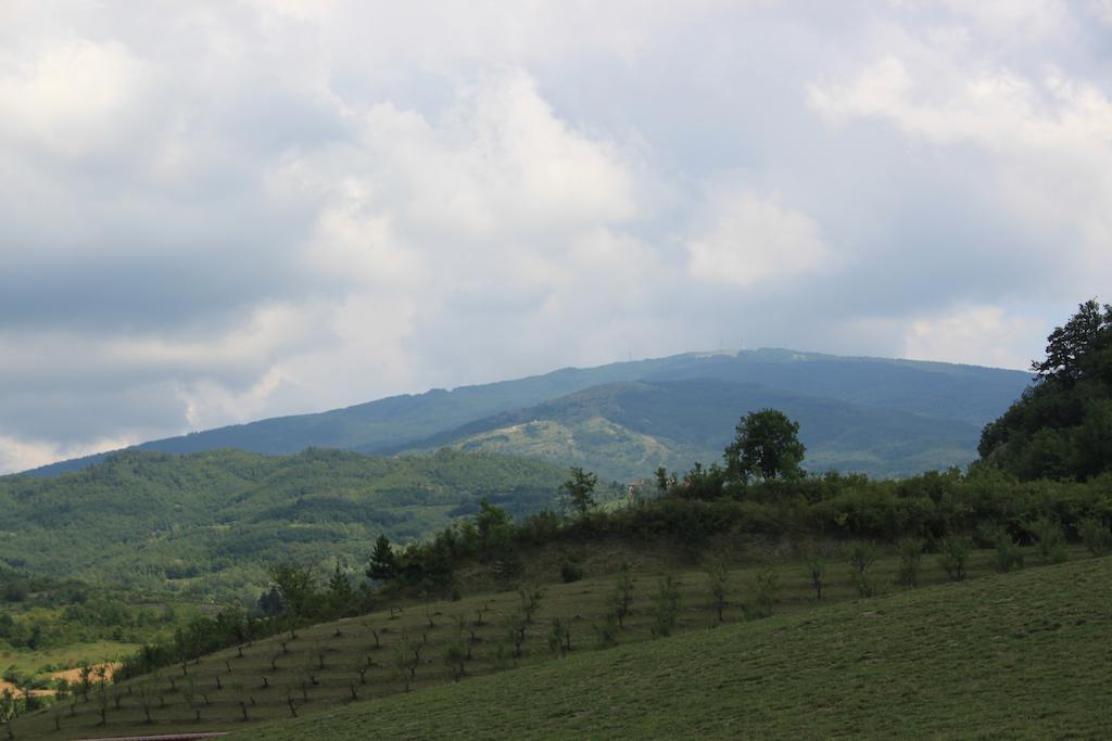 Agriturismo Ca Bella Βίλα San Sebastiano Curone Εξωτερικό φωτογραφία